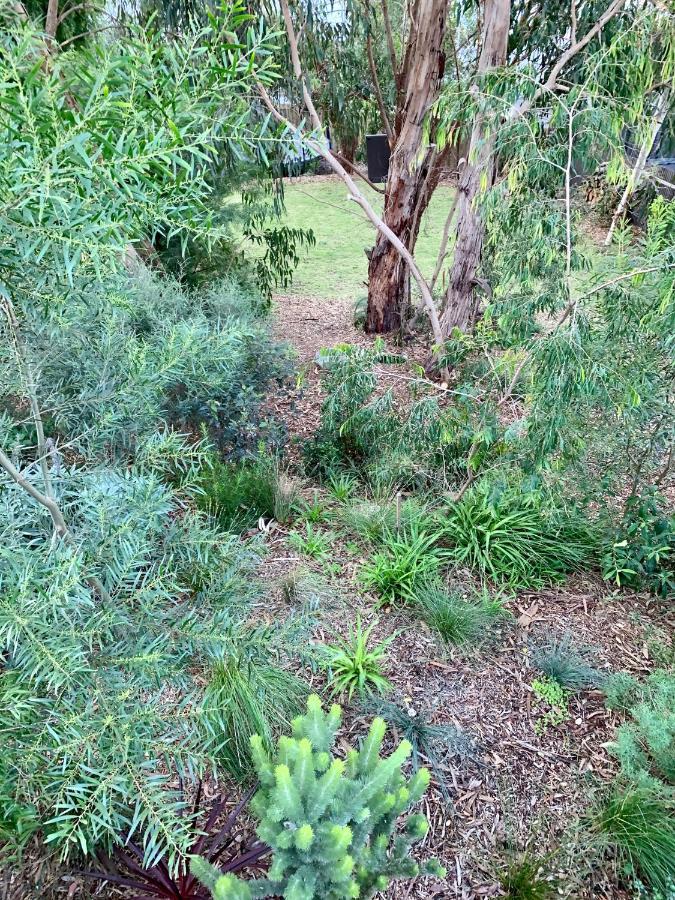 Tree Top Getaway Anglesea Bagian luar foto